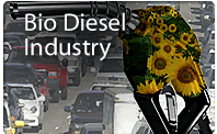 BioDiesel and Edible Oil Industry