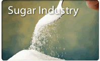 Sweetners and Sugar Syrup Industry